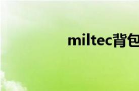 miltec背包（MIL-TEC）