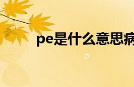 pe是什么意思病（pe是什么意思）