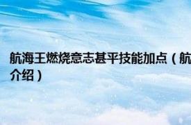 航海王燃烧意志甚平技能加点（航海王燃烧意志甚平怎么加点相关内容简介介绍）