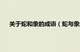 关于蛇和象的成语（蛇与象的四字成语相关内容简介介绍）