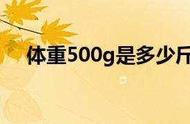 体重500g是多少斤（500g多少斤多重）