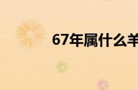 67年属什么羊（67年属什么）