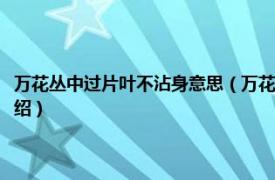 万花丛中过片叶不沾身意思（万花丛中过片叶不沾身的意思相关内容简介介绍）