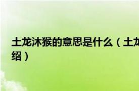 土龙沐猴的意思是什么（土龙沐猴开过什么生肖相关内容简介介绍）