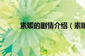 素媛的剧情介绍（素媛结局相关内容简介介绍）