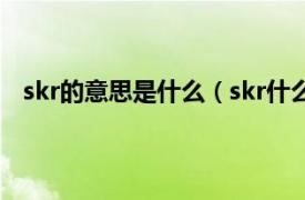 skr的意思是什么（skr什么意思中文相关内容简介介绍）