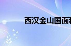 西汉金山国面积（西汉金山国）