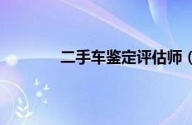 二手车鉴定评估师（二手车鉴定评估师证）