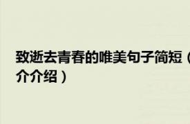 致逝去青春的唯美句子简短（致我们逝去的青春句子相关内容简介介绍）