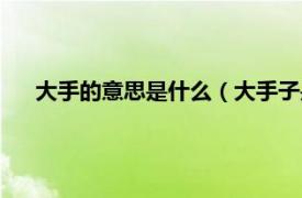 大手的意思是什么（大手子是什么意思相关内容简介介绍）