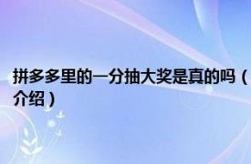 拼多多里的一分抽大奖是真的吗（拼多多的一分抽奖是真的吗相关内容简介介绍）