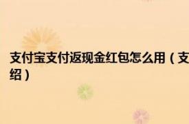 支付宝支付返现金红包怎么用（支付宝扫红包码返现怎么弄相关内容简介介绍）