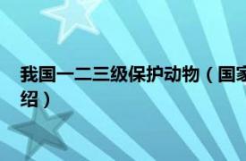 我国一二三级保护动物（国家一二三级保护动物相关内容简介介绍）