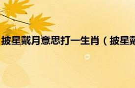 披星戴月意思打一生肖（披星戴月是什么生肖相关内容简介介绍）