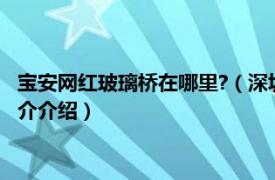 宝安网红玻璃桥在哪里?（深圳网红玻璃桥在什么地方相关内容简介介绍）