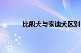 比熊犬与泰迪犬区别（比熊犬和泰迪的区别）