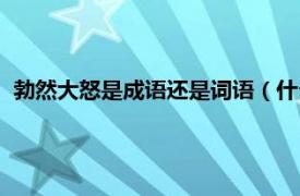 勃然大怒是成语还是词语（什么然大怒成语相关内容简介介绍）