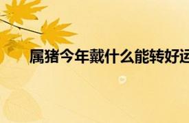 属猪今年戴什么能转好运（属猪带什么招财转运？）