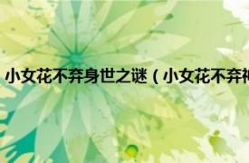 小女花不弃身世之谜（小女花不弃神秘人真实身份是谁相关内容简介介绍）