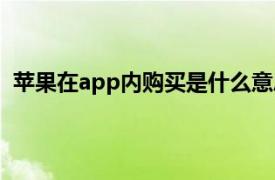 苹果在app内购买是什么意思（苹果app内购买什么意思）