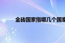 金砖国家指哪几个国家（金砖国家指哪些国家）