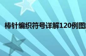 棒针编织符号详解120例图解（棒针编织符号详解120例）