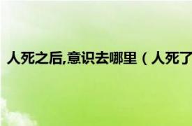 人死之后,意识去哪里（人死了意识会去哪里相关内容简介介绍）