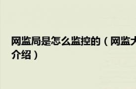 网监局是怎么监控的（网监大队是怎么进行监控的相关内容简介介绍）