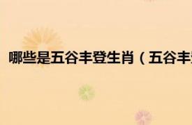 哪些是五谷丰登生肖（五谷丰登是什么生肖相关内容简介介绍）