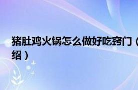 猪肚鸡火锅怎么做好吃窍门（猪肚鸡火锅的做法相关内容简介介绍）