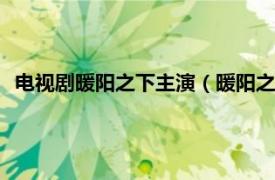 电视剧暖阳之下主演（暖阳之下 2021年焦永亮执导的电视剧）