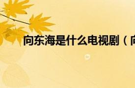 向东海是什么电视剧（向东是大海 2012年电视剧）