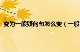 变为一般疑问句怎么变（一般疑问句怎么变相关内容简介介绍）