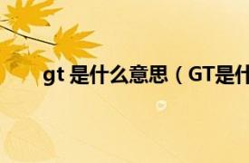 gt 是什么意思（GT是什么意思相关内容简介介绍）