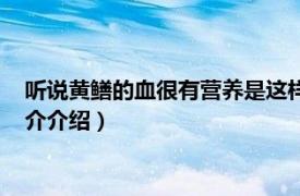 听说黄鳝的血很有营养是这样吗（血鳝和黄鳝的区别相关内容简介介绍）