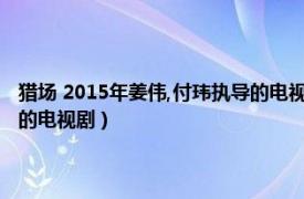 猎场 2015年姜伟,付玮执导的电视剧叫什么（猎场 2015年姜伟、付玮执导的电视剧）