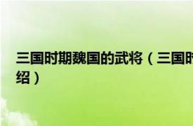 三国时期魏国的武将（三国时期魏国有哪些名将相关内容简介介绍）