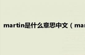 martin是什么意思中文（martini是什么酒相关内容简介介绍）