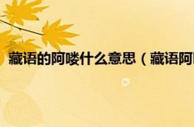 藏语的阿喽什么意思（藏语阿叼是什么意思相关内容简介介绍）