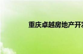 重庆卓越房地产开发有限公司金碧街项目