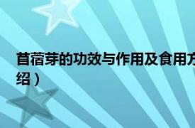 苜蓿芽的功效与作用及食用方法（苜蓿芽怎么吃相关内容简介介绍）