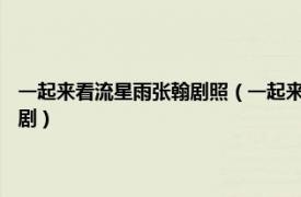 一起来看流星雨张翰剧照（一起来看流星雨 2009年张翰、俞灏明主演电视剧）