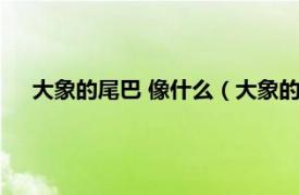 大象的尾巴 像什么（大象的尾巴像什么相关内容简介介绍）