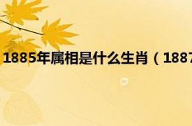 1885年属相是什么生肖（1887年属什么生肖相关内容简介介绍）