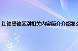 红轴黑轴区别相关内容简介介绍怎么写（红轴黑轴区别相关内容简介介绍）