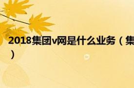 2018集团v网是什么业务（集团v网业务是什么相关内容简介介绍）