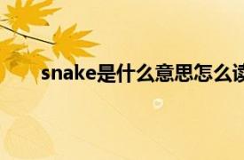 snake是什么意思怎么读音（snake是什么意思？）