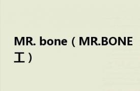 MR. bone（MR.BONE 《MR.BONE》主人公ZIB六号特工）