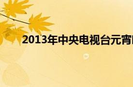 2013年中央电视台元宵晚会卖汤圆演唱全体主持人