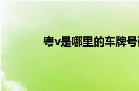 粤v是哪里的车牌号码（粤v是哪里的车牌）